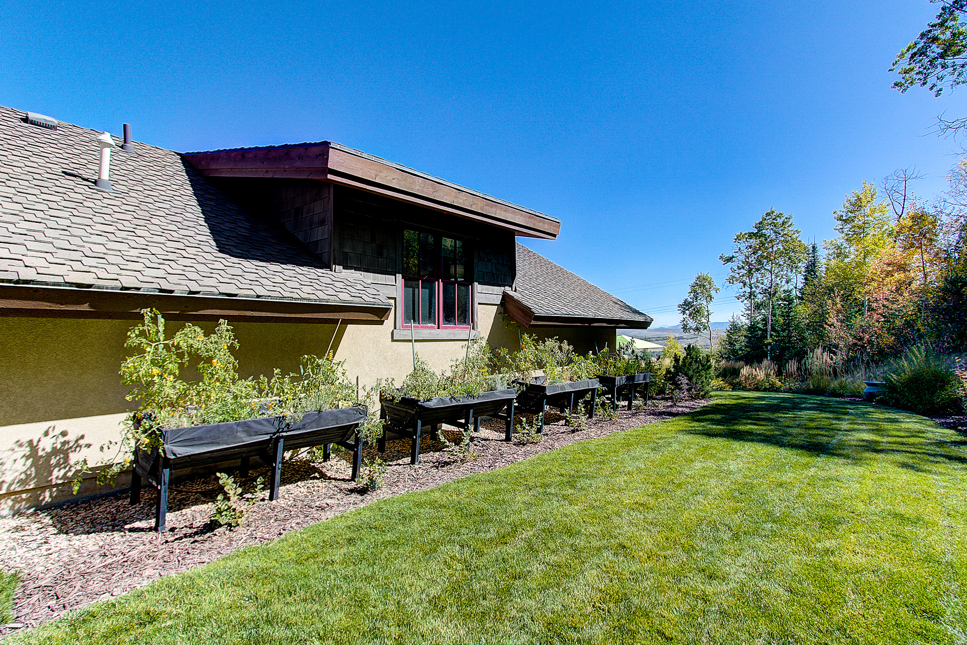 THE COVE - Residential