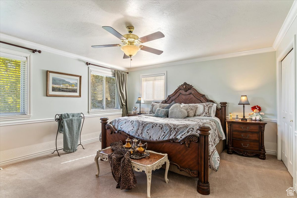 DREAMS END - Residential