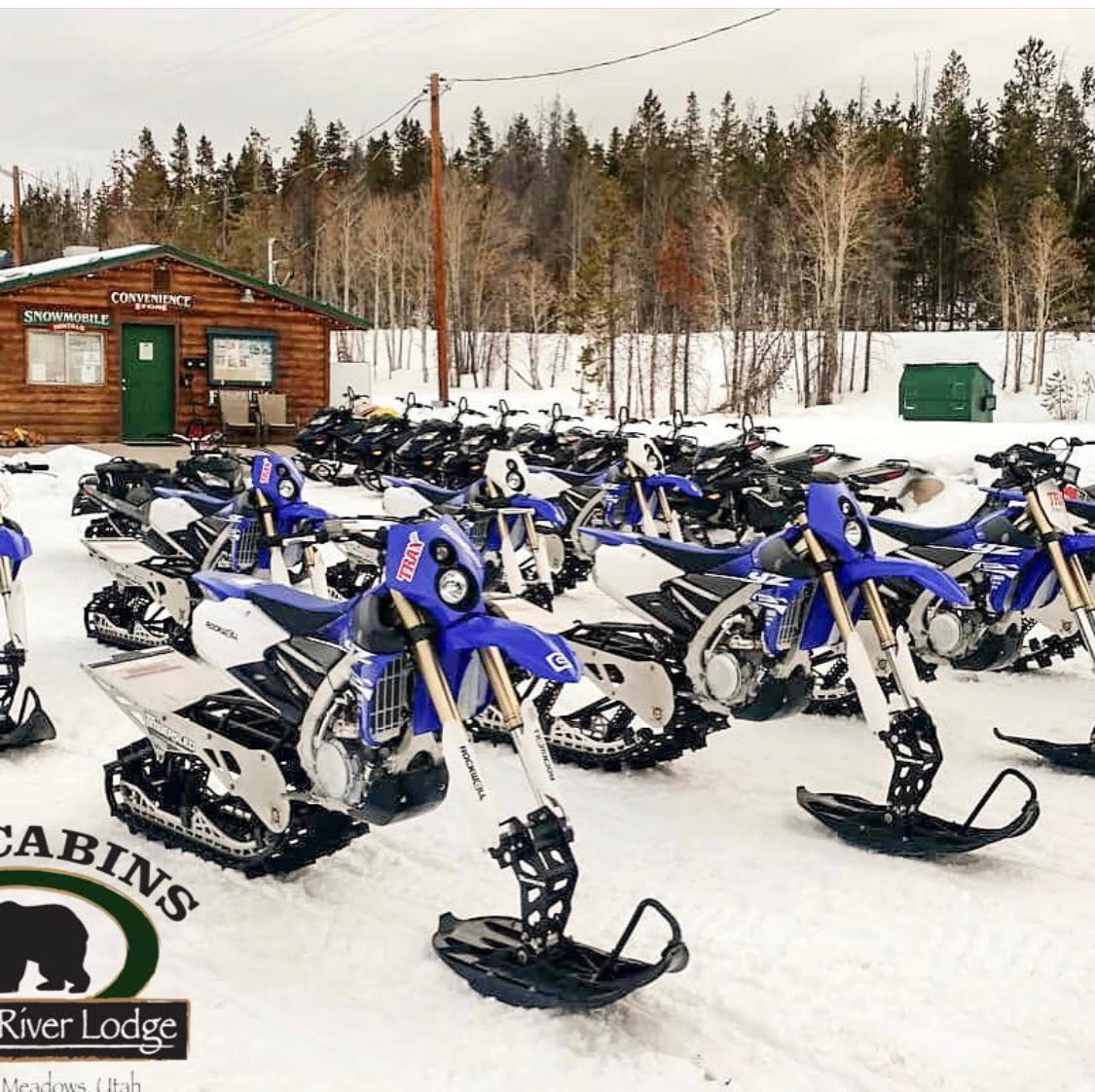 THE CABINS AT BEAR RIVER LODGE - Residential