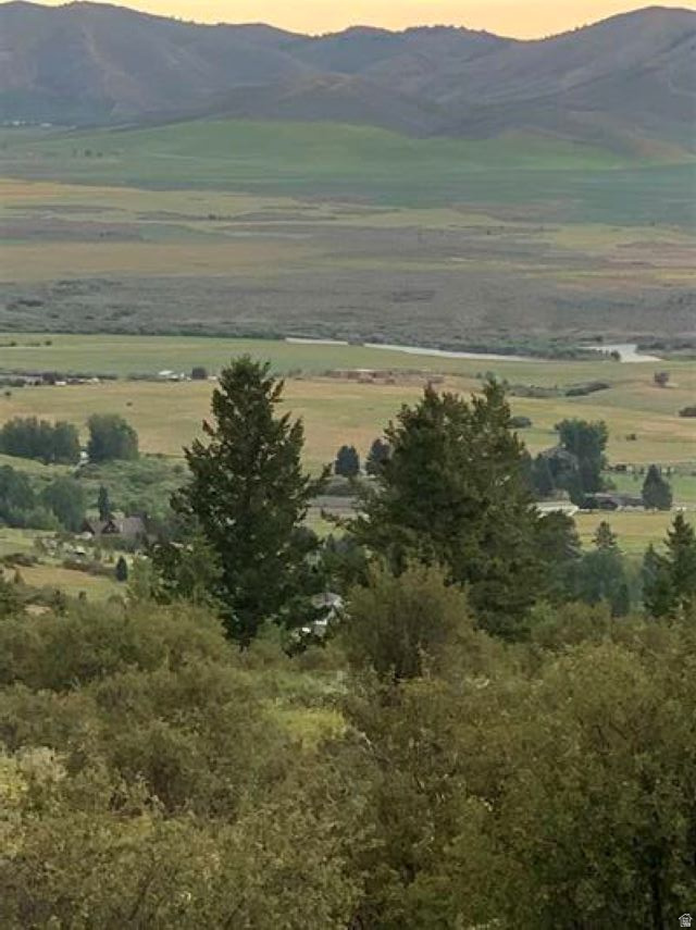 TWO association lots in the desirable Bailey Creek community. Enjoy year-round access, power conveniently at the road, and the option to connect to the community well. This property offers the perfect blend of seclusion and stunning scenery, with sweeping mountain and valley views all around. Outdoor enthusiasts will love being less than a mile from Caribou National Forest access-ideal for hiking, hunting, or exploring. Contact the listing agent today for full details!