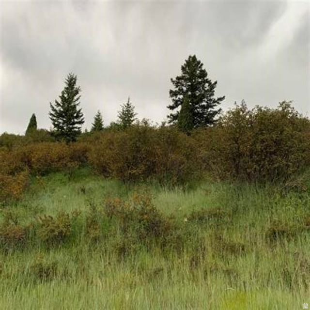 BAILEY CREEK SUBD - Land
