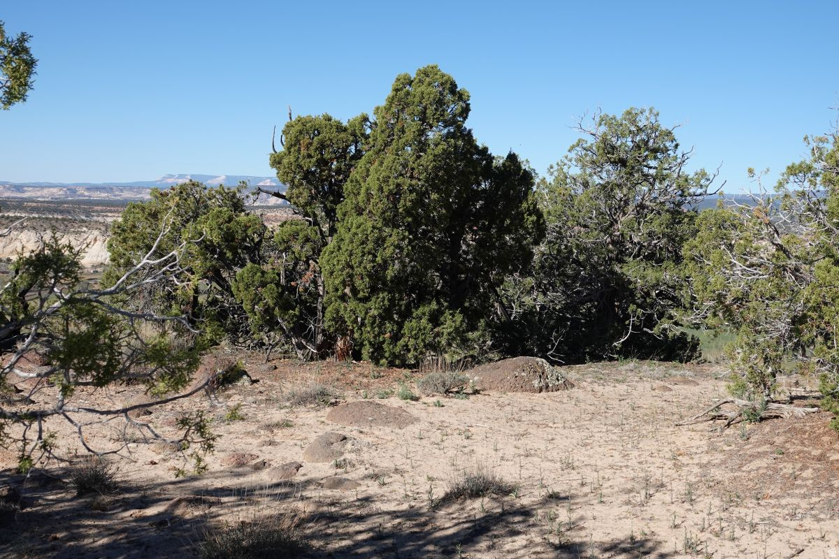 BLACK BOULDER MESA - Land