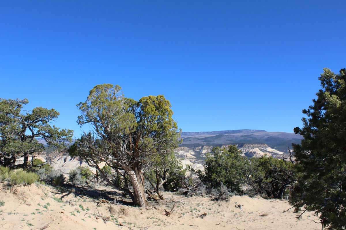 BLACK BOULDER MESA - Land