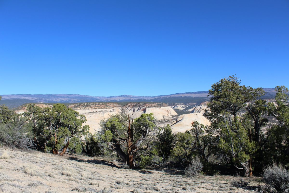 BLACK BOULDER MESA - Land