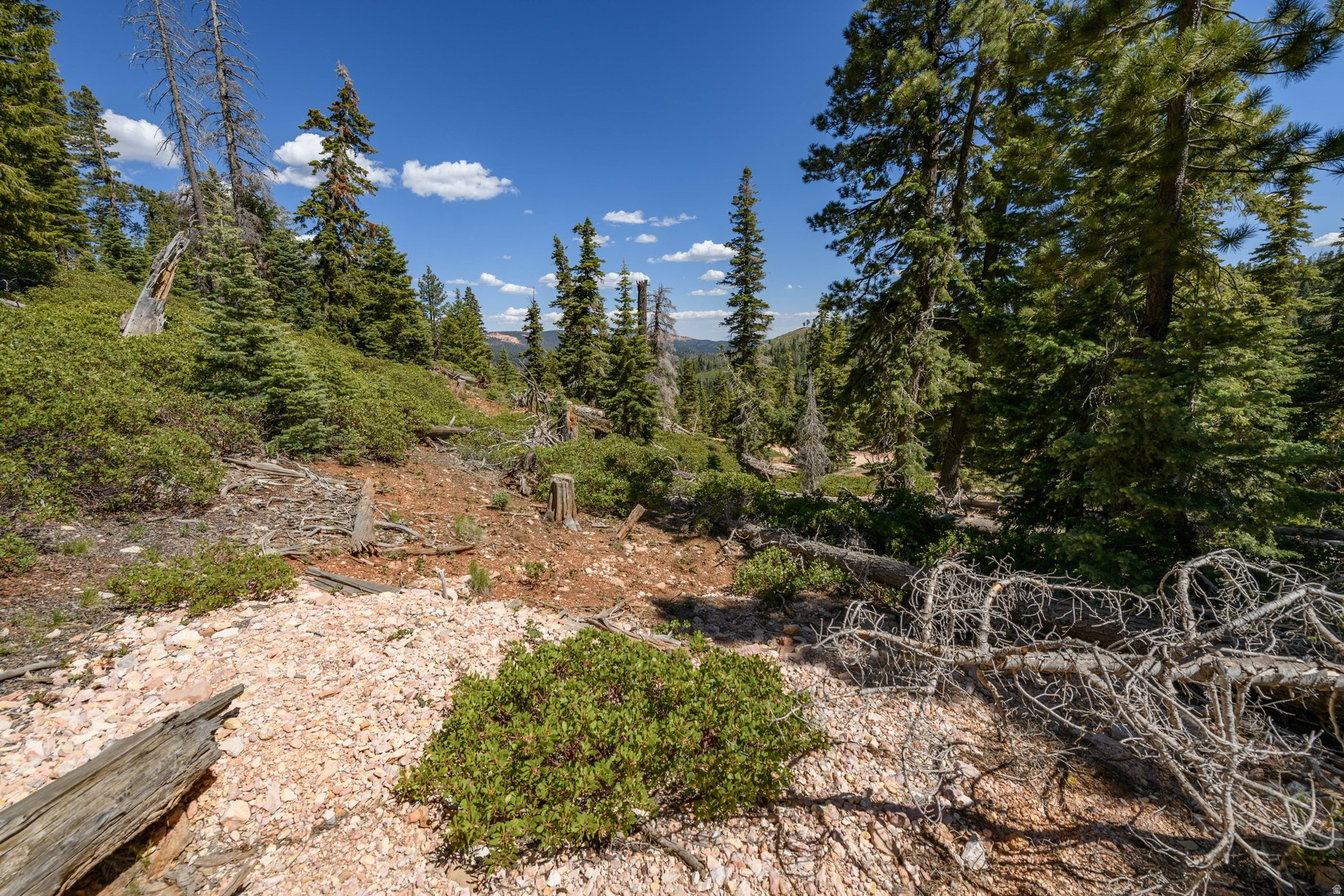 NAVAJO LAKE ESTATES - Land