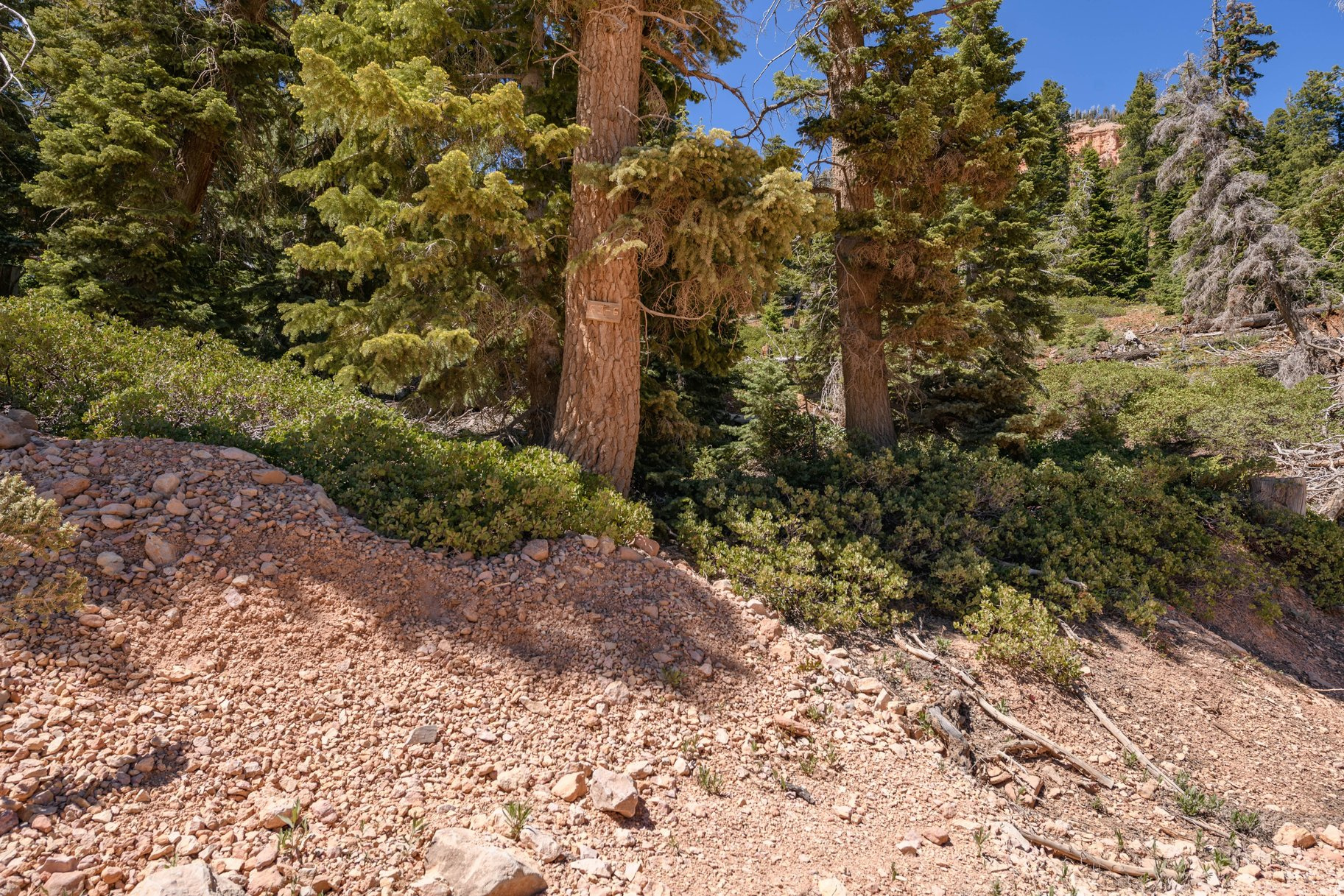 NAVAJO LAKE ESTATES - Land