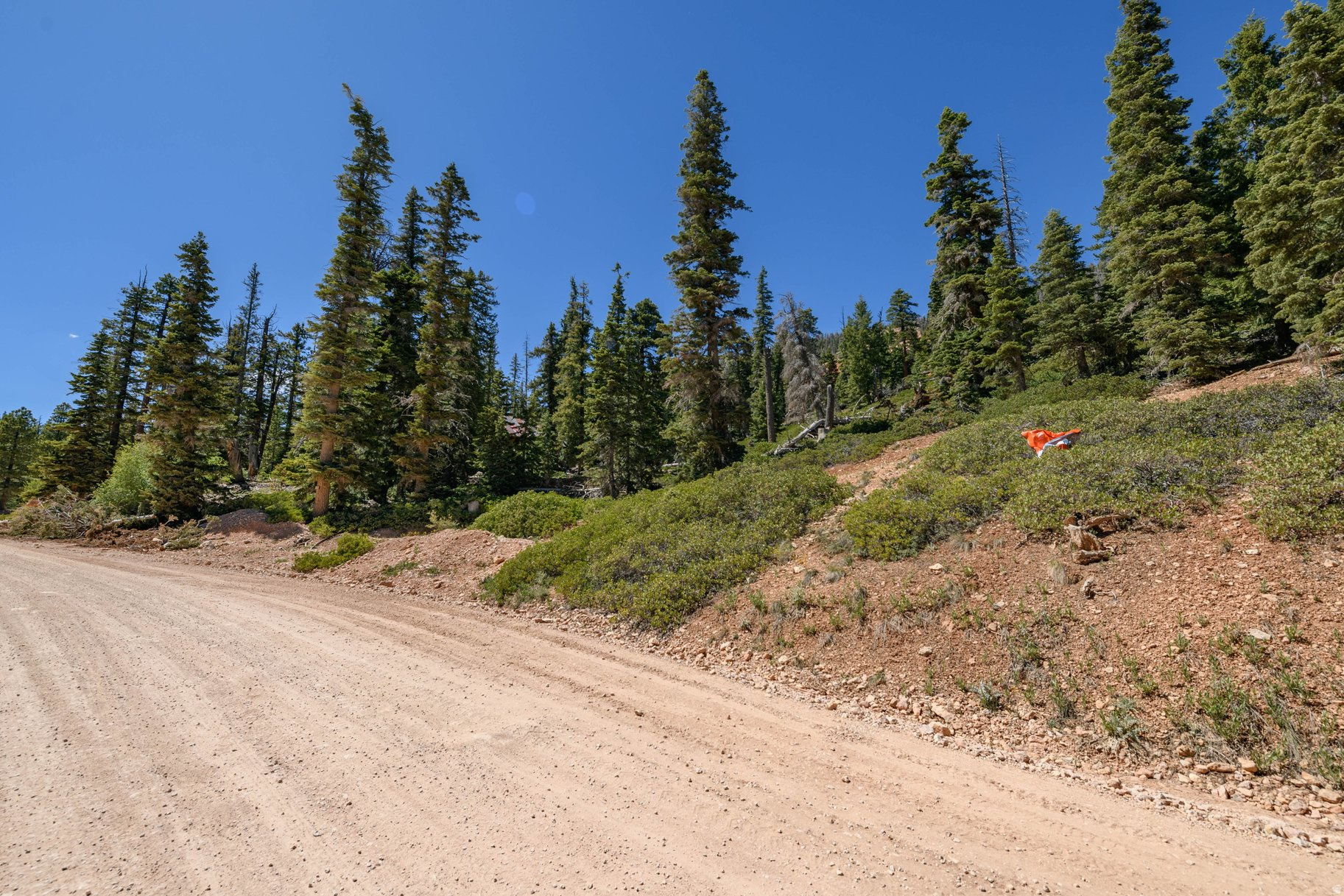NAVAJO LAKE ESTATES - Land