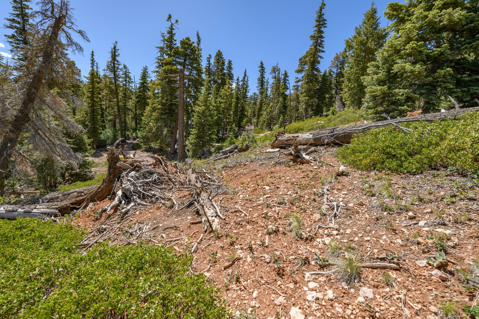 NAVAJO LAKE ESTATES - Land