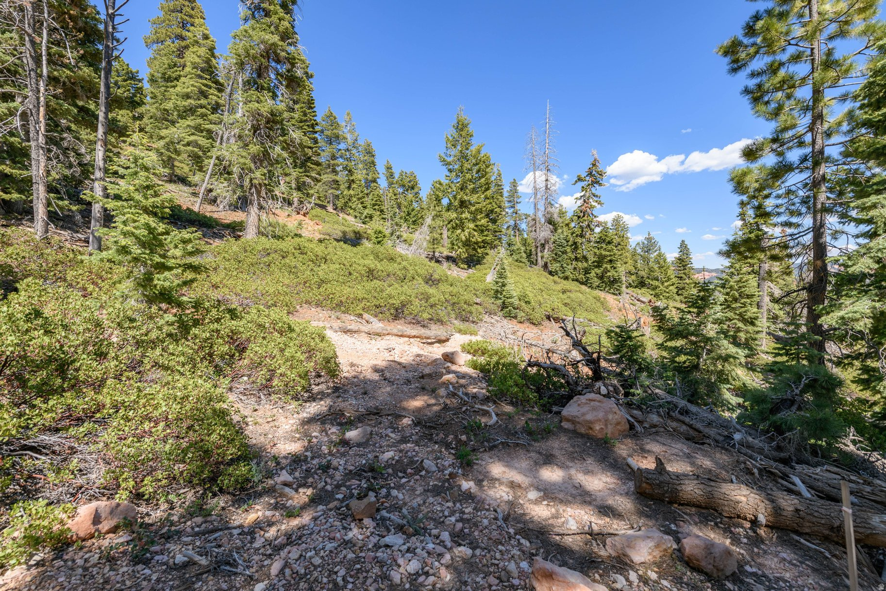 NAVAJO LAKE ESTATES - Land