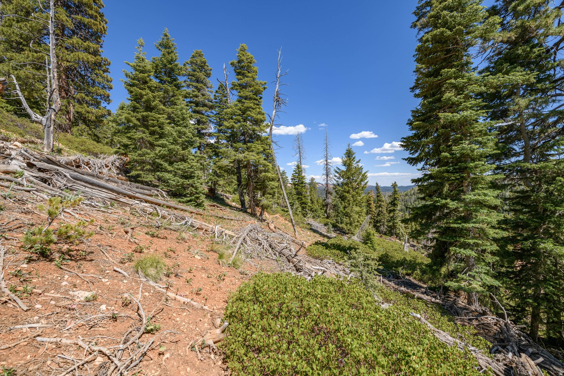 NAVAJO LAKE ESTATES - Land