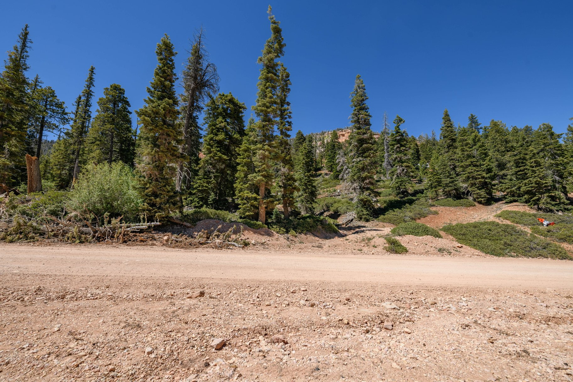 NAVAJO LAKE ESTATES - Land