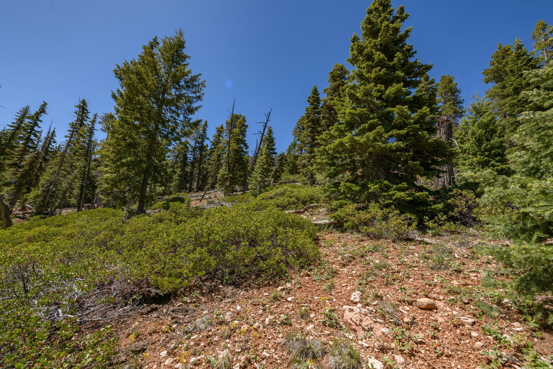 NAVAJO LAKE ESTATES - Land