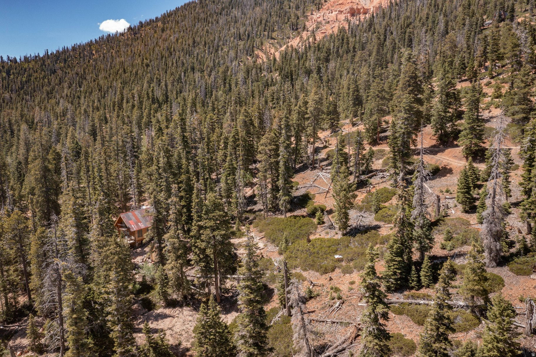 NAVAJO LAKE ESTATES - Land