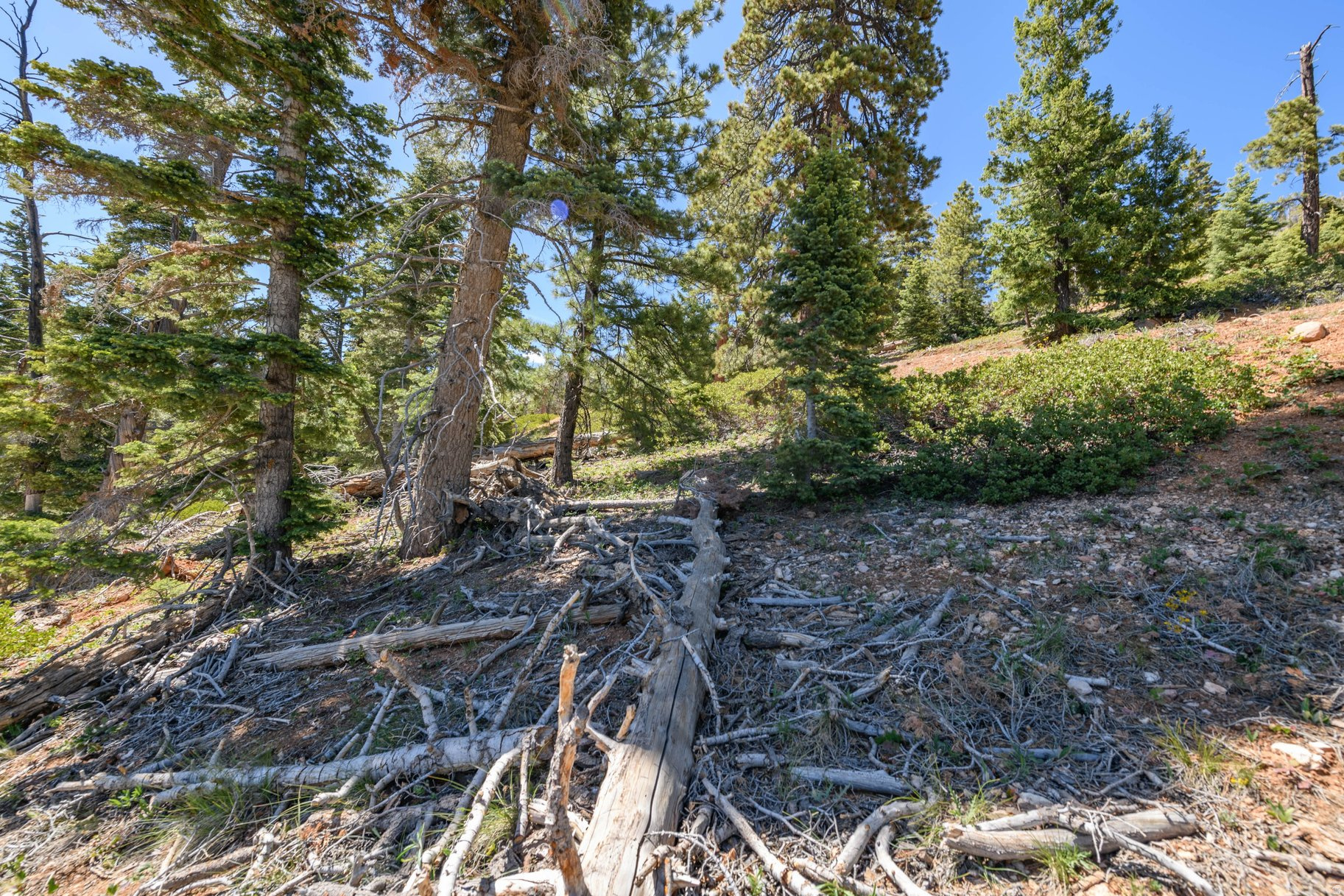 NAVAJO LAKE ESTATES - Land