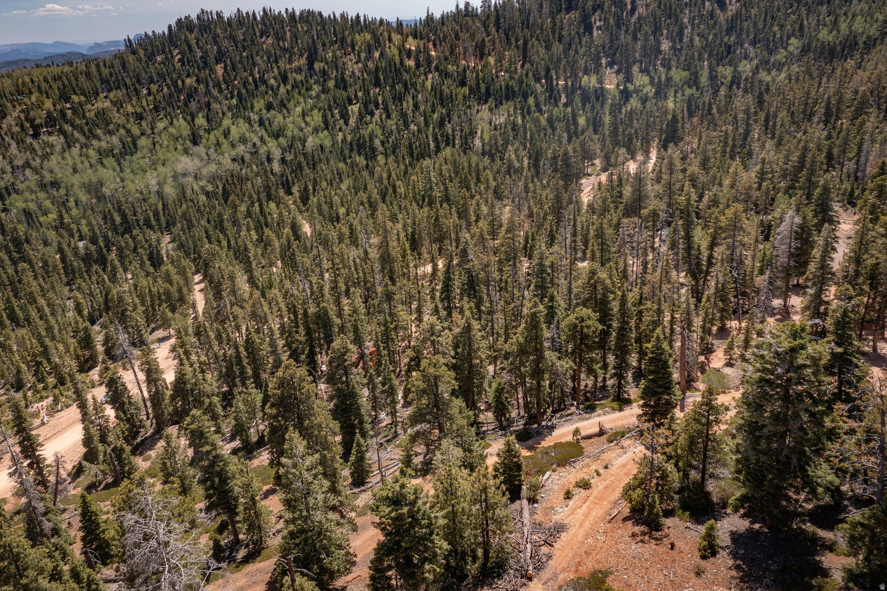 NAVAJO LAKE ESTATES - Land