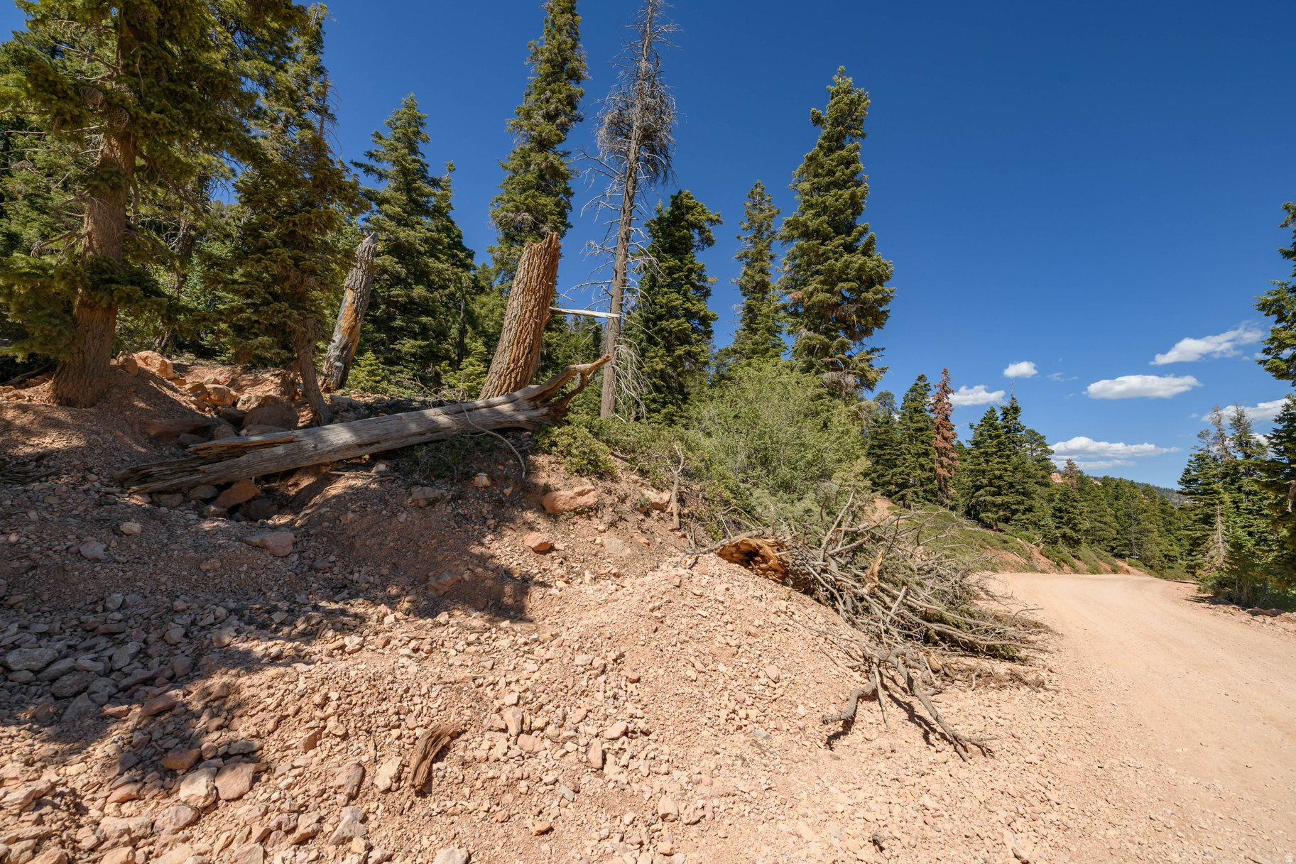 NAVAJO LAKE ESTATES - Land