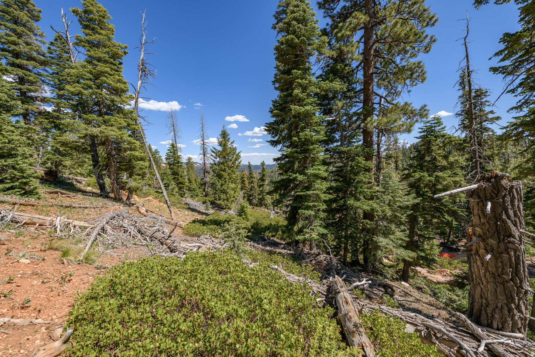NAVAJO LAKE ESTATES - Land