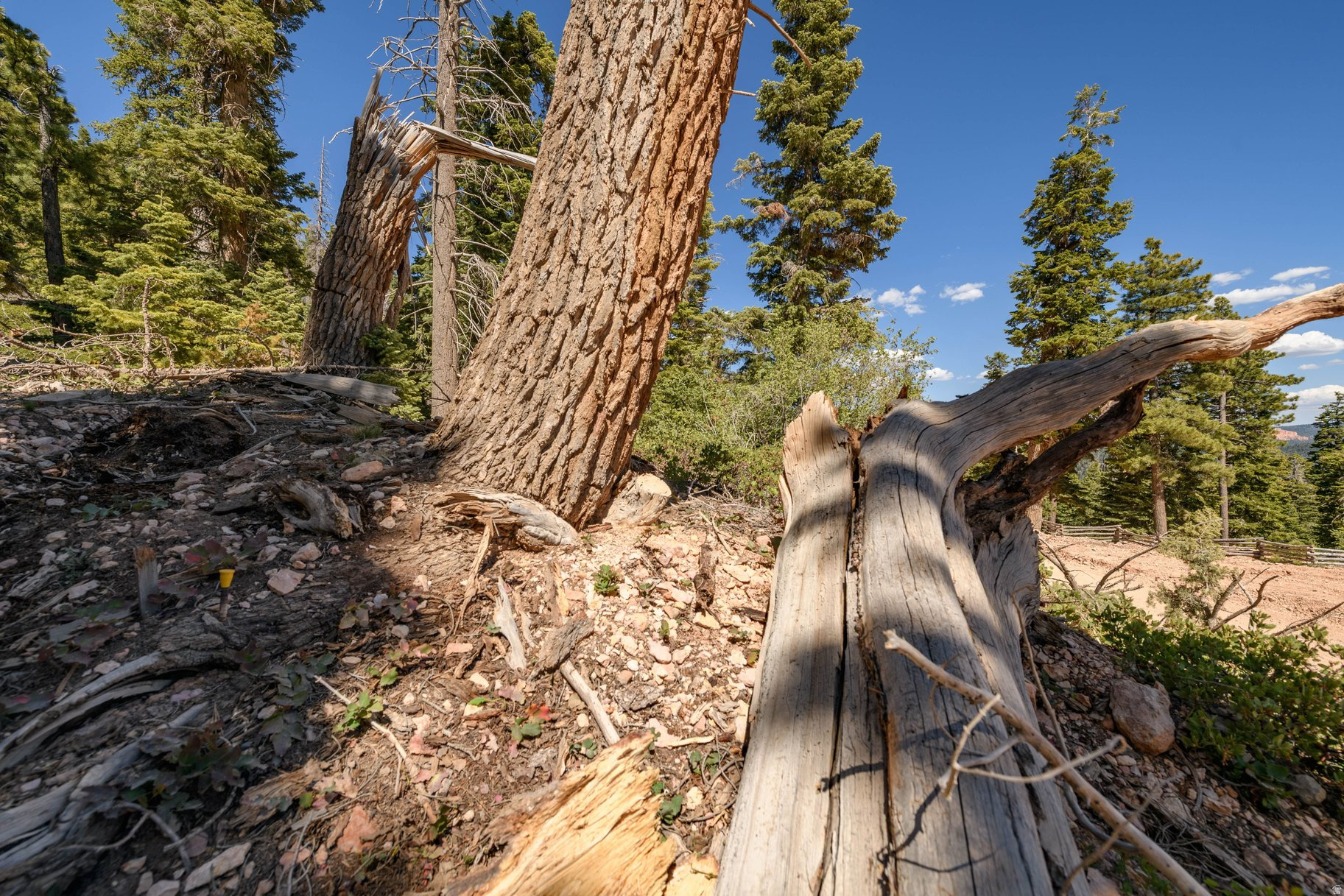 NAVAJO LAKE ESTATES - Land