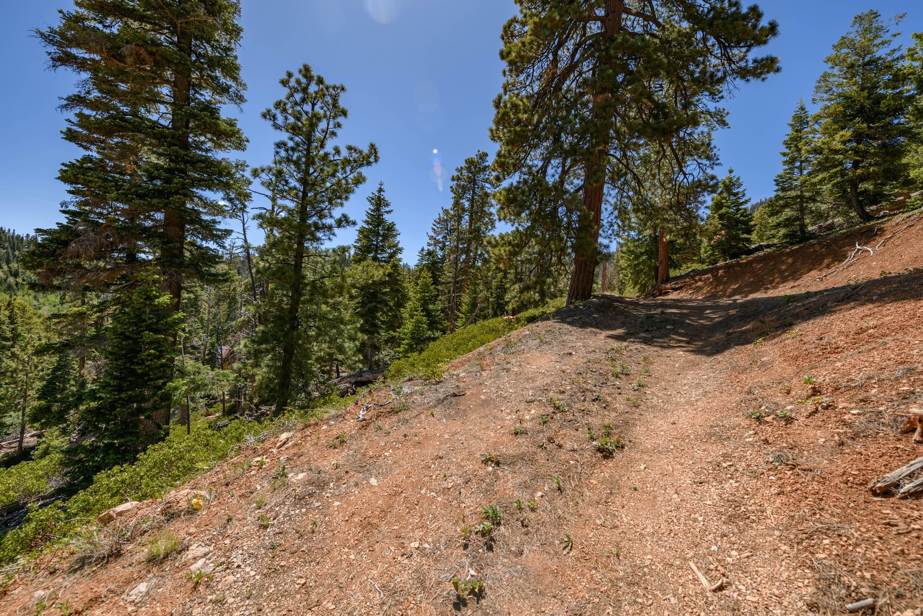 NAVAJO LAKE ESTATES - Land