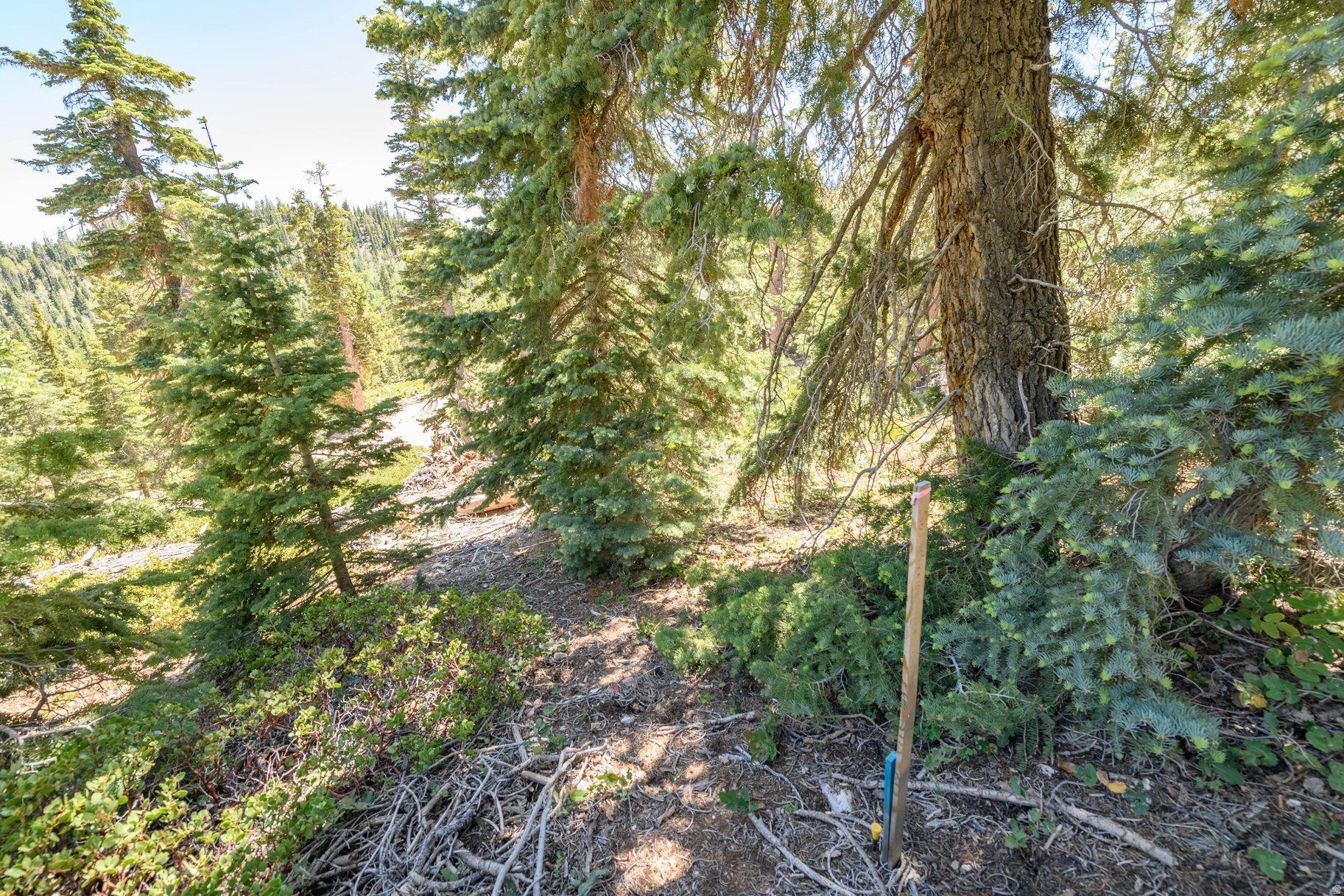NAVAJO LAKE ESTATES - Land