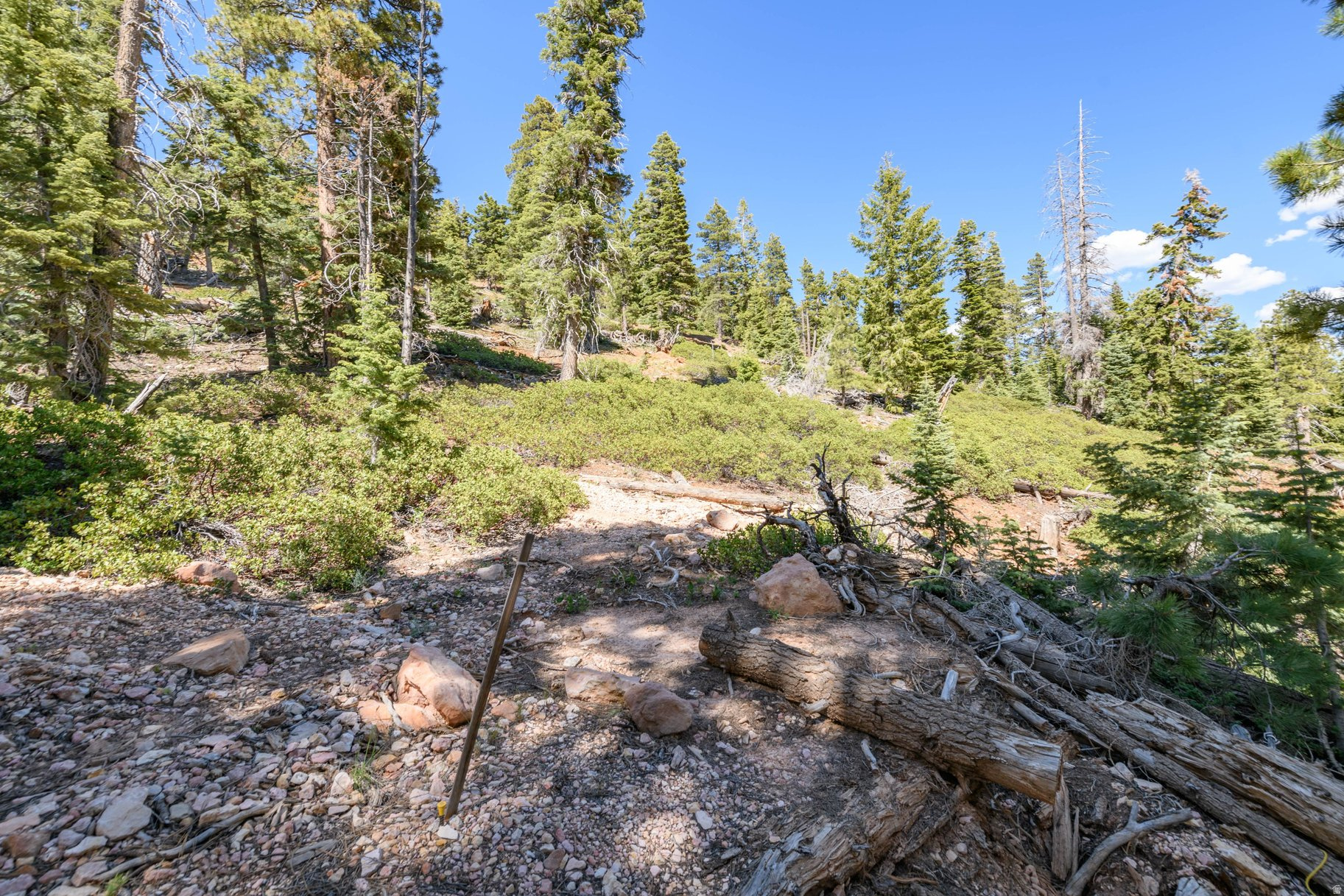 NAVAJO LAKE ESTATES - Land