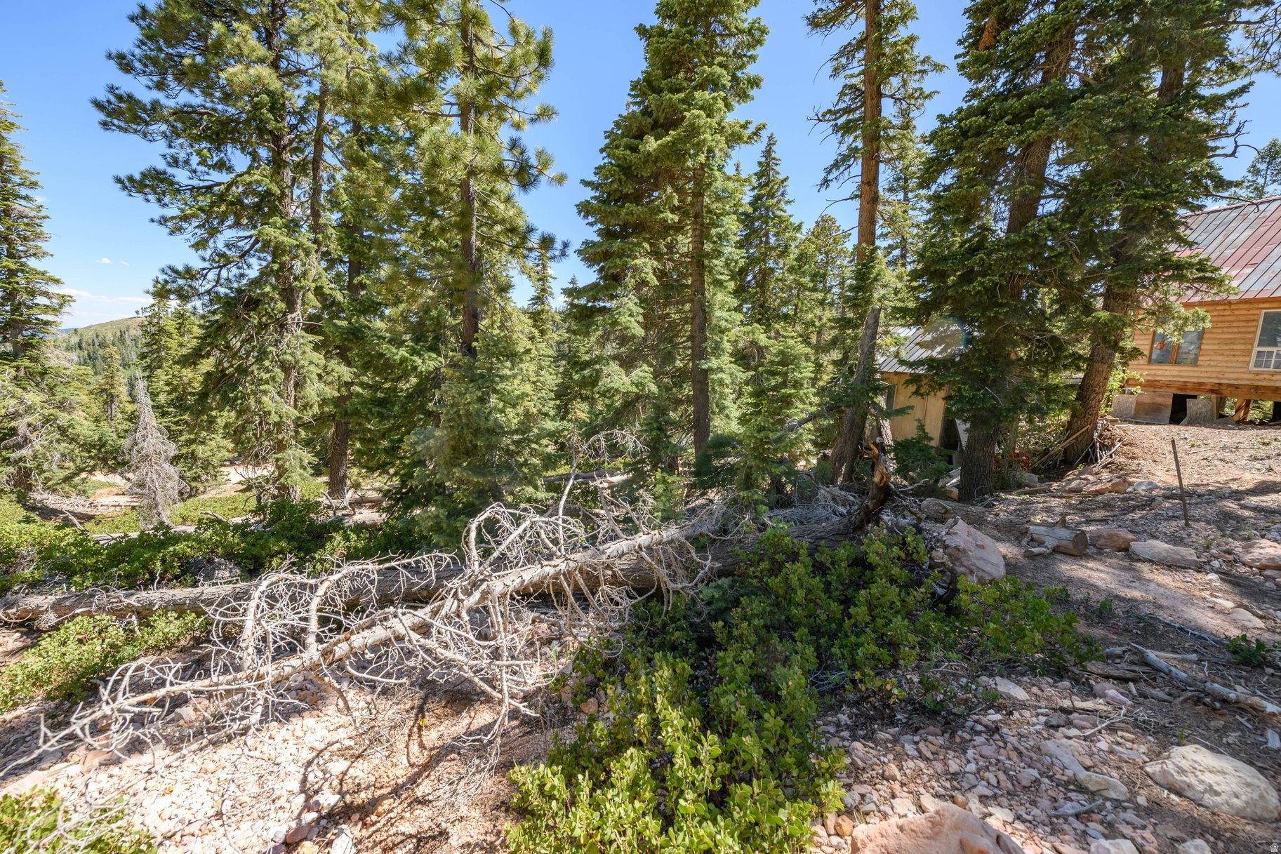 NAVAJO LAKE ESTATES - Land