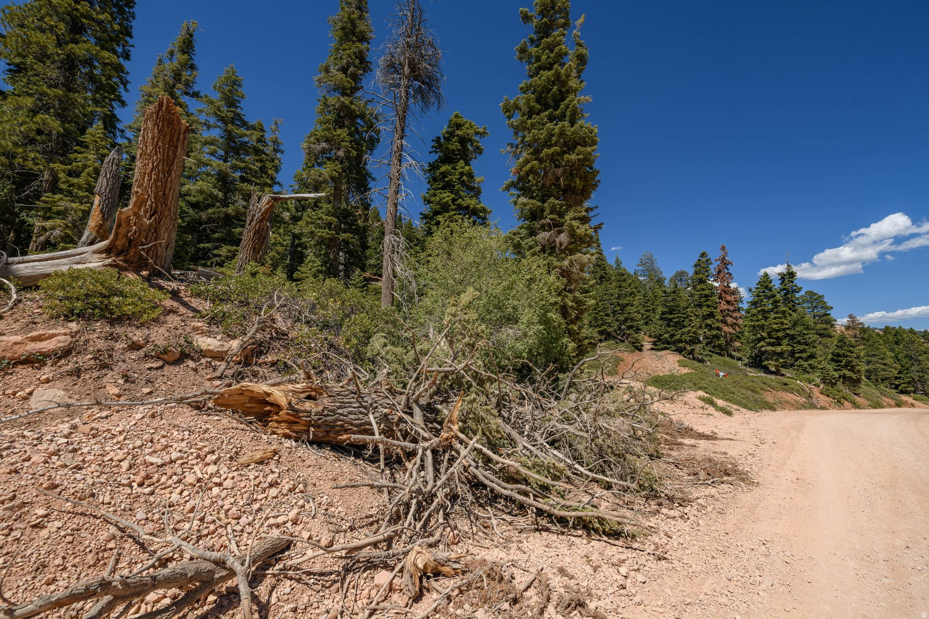 NAVAJO LAKE ESTATES - Land