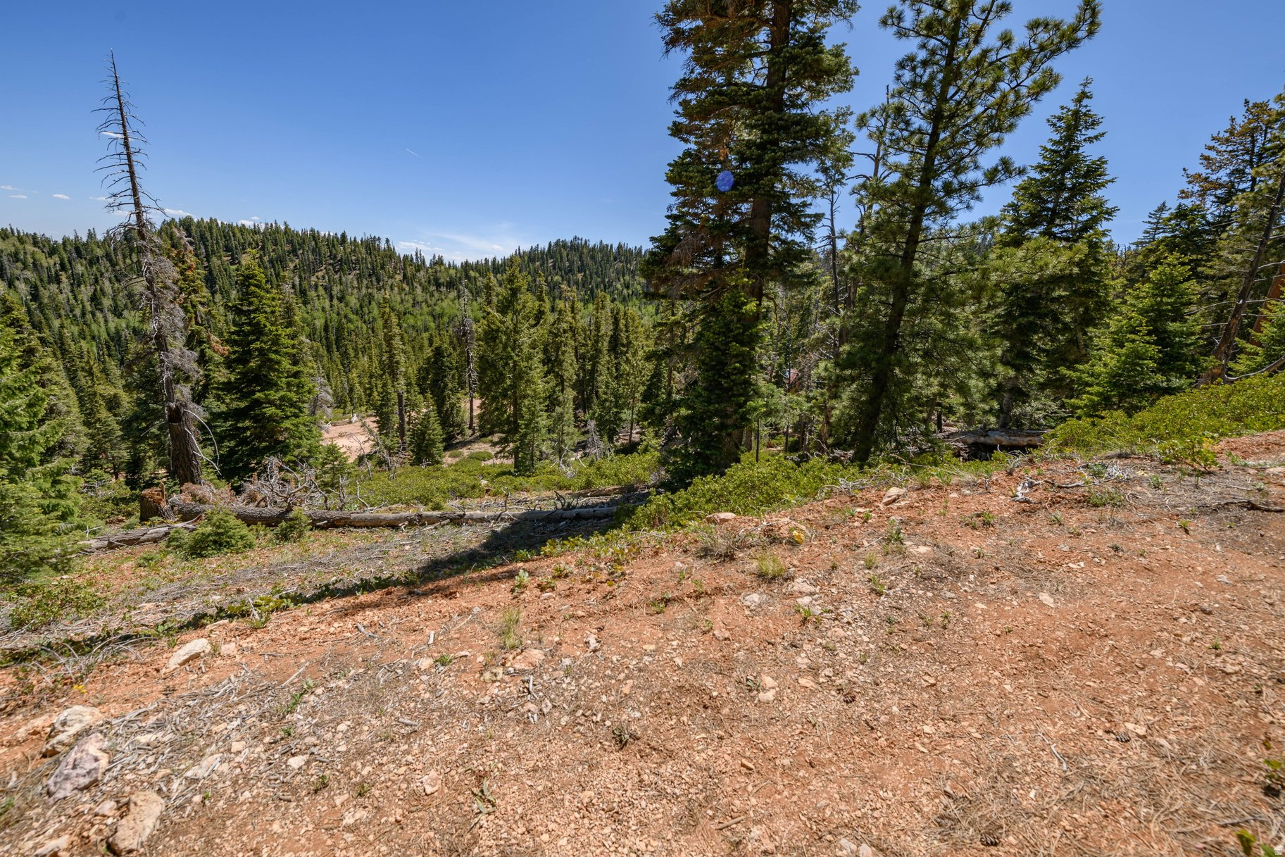NAVAJO LAKE ESTATES - Land