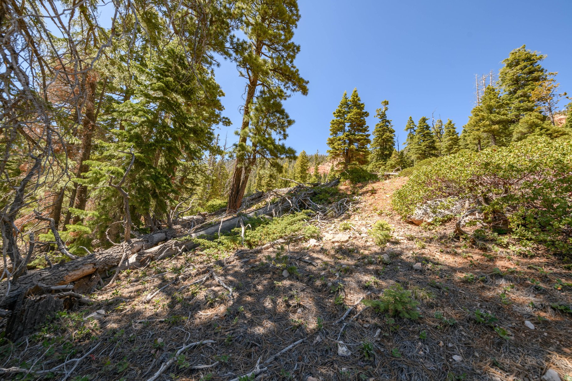 NAVAJO LAKE ESTATES - Land