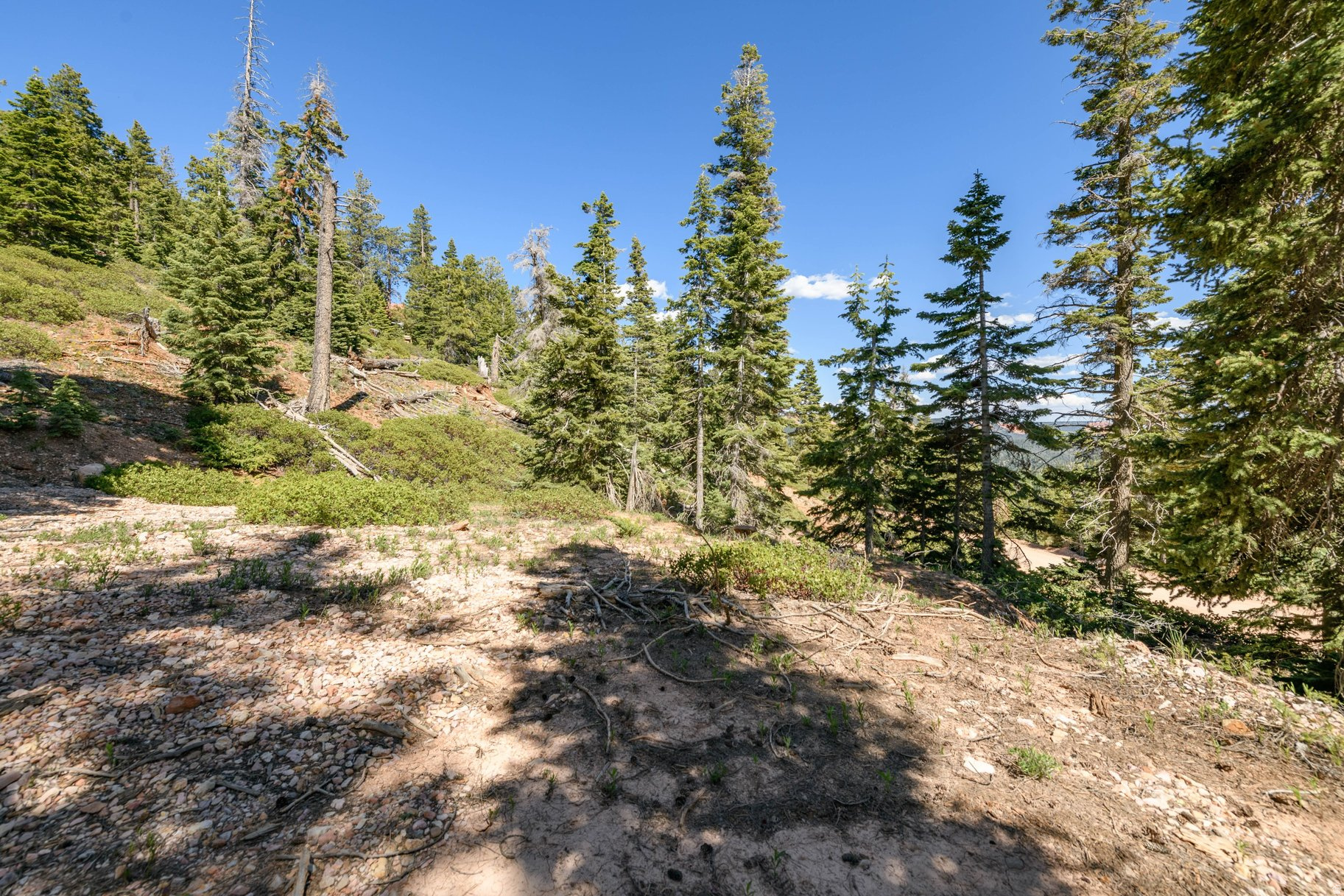 NAVAJO LAKE ESTATES - Land