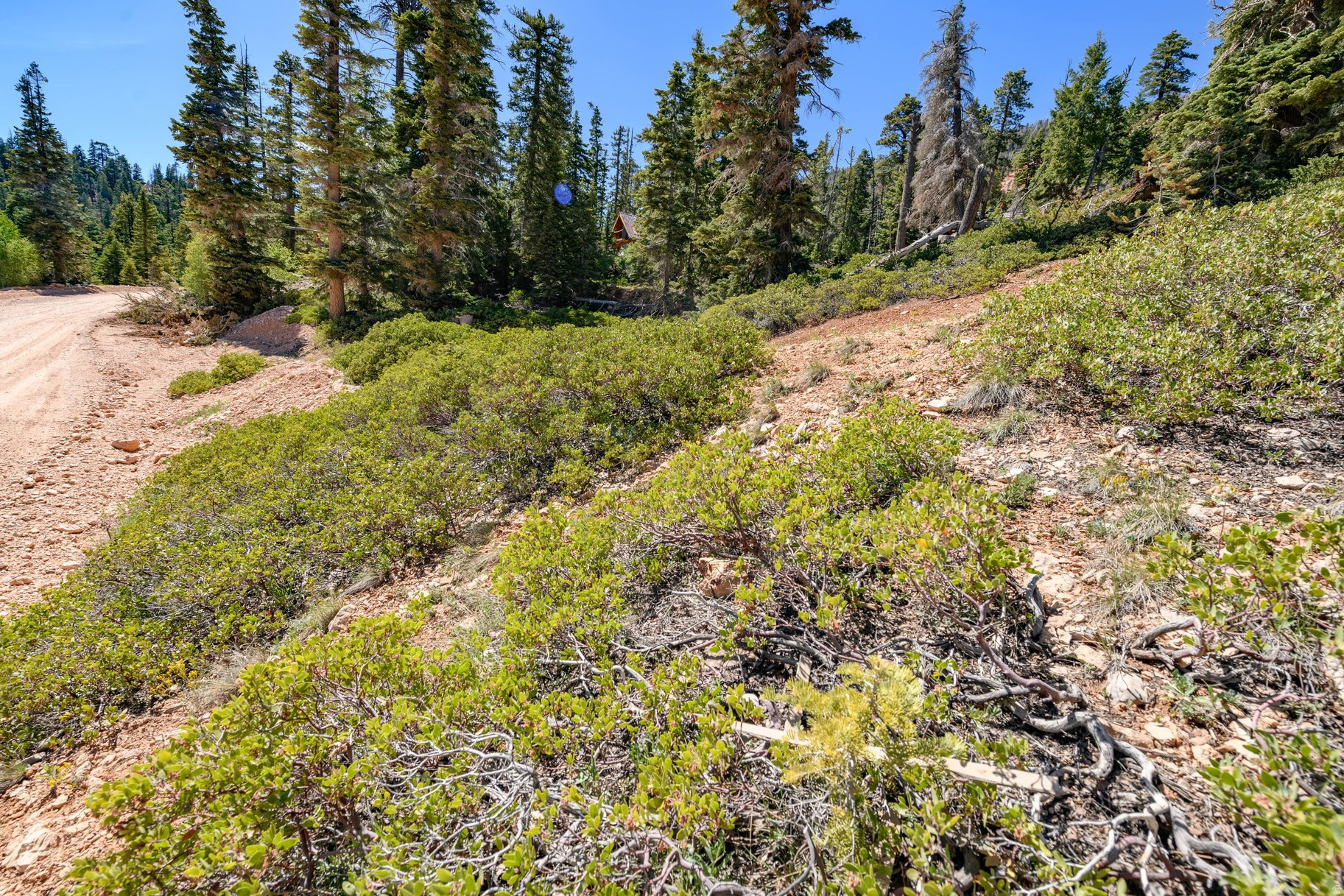 NAVAJO LAKE ESTATES - Land