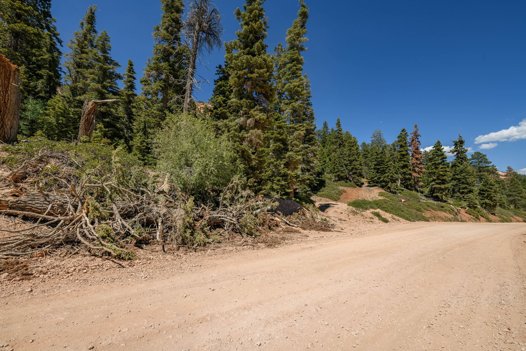 NAVAJO LAKE ESTATES - Land