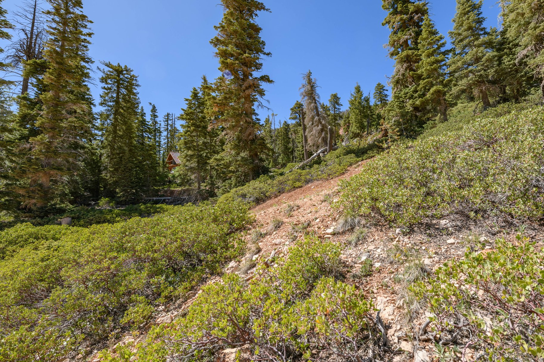NAVAJO LAKE ESTATES - Land