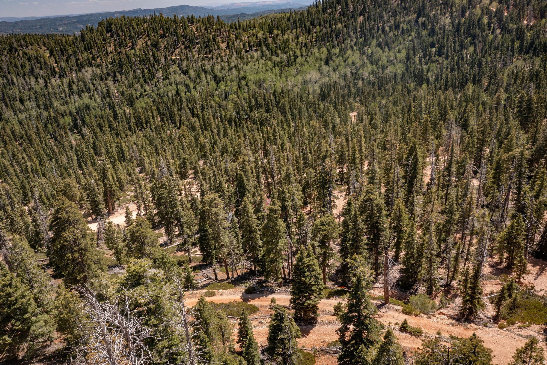 NAVAJO LAKE ESTATES - Land
