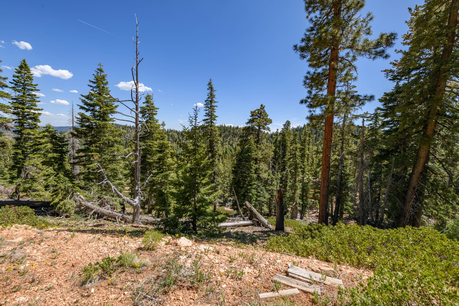 NAVAJO LAKE ESTATES - Land