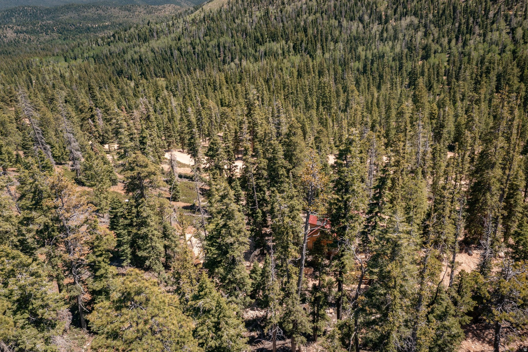 NAVAJO LAKE ESTATES - Land