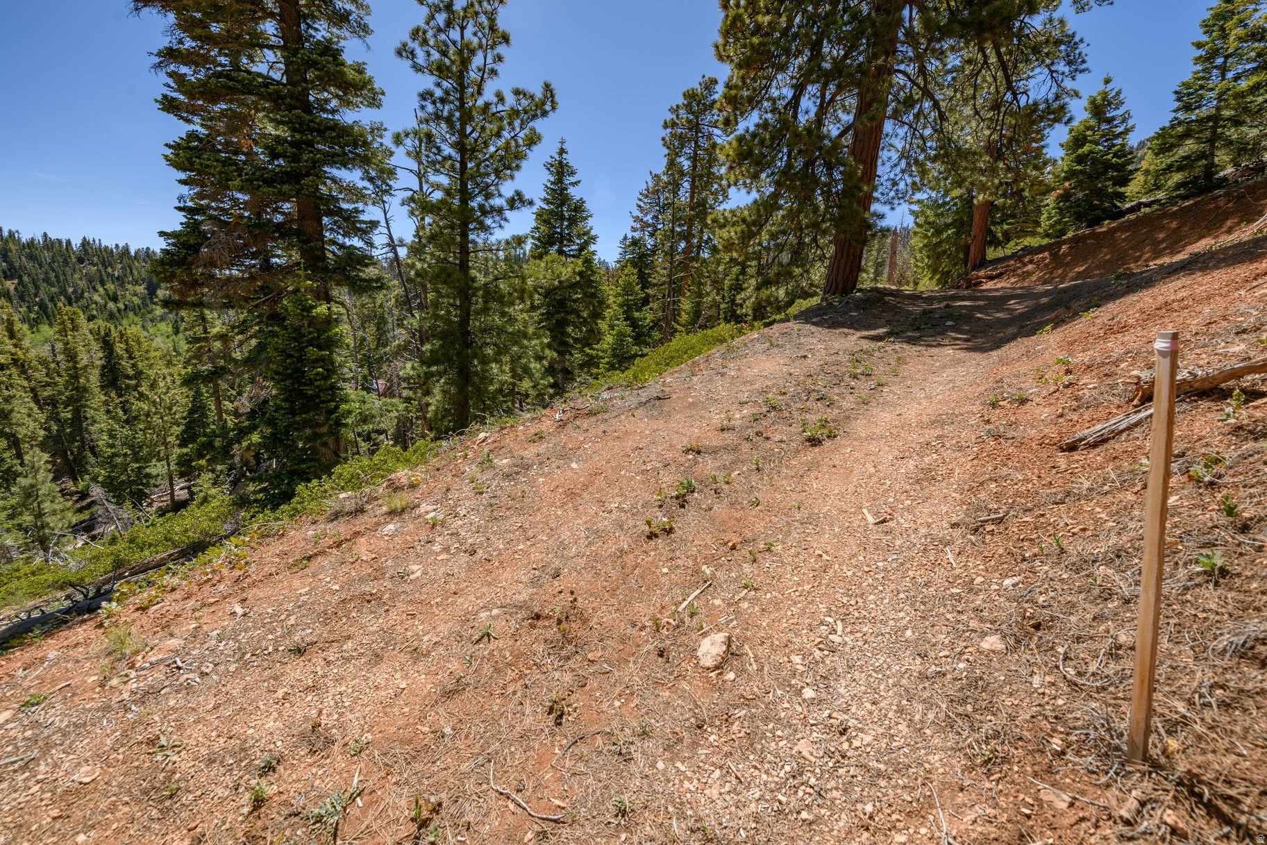 NAVAJO LAKE ESTATES - Land