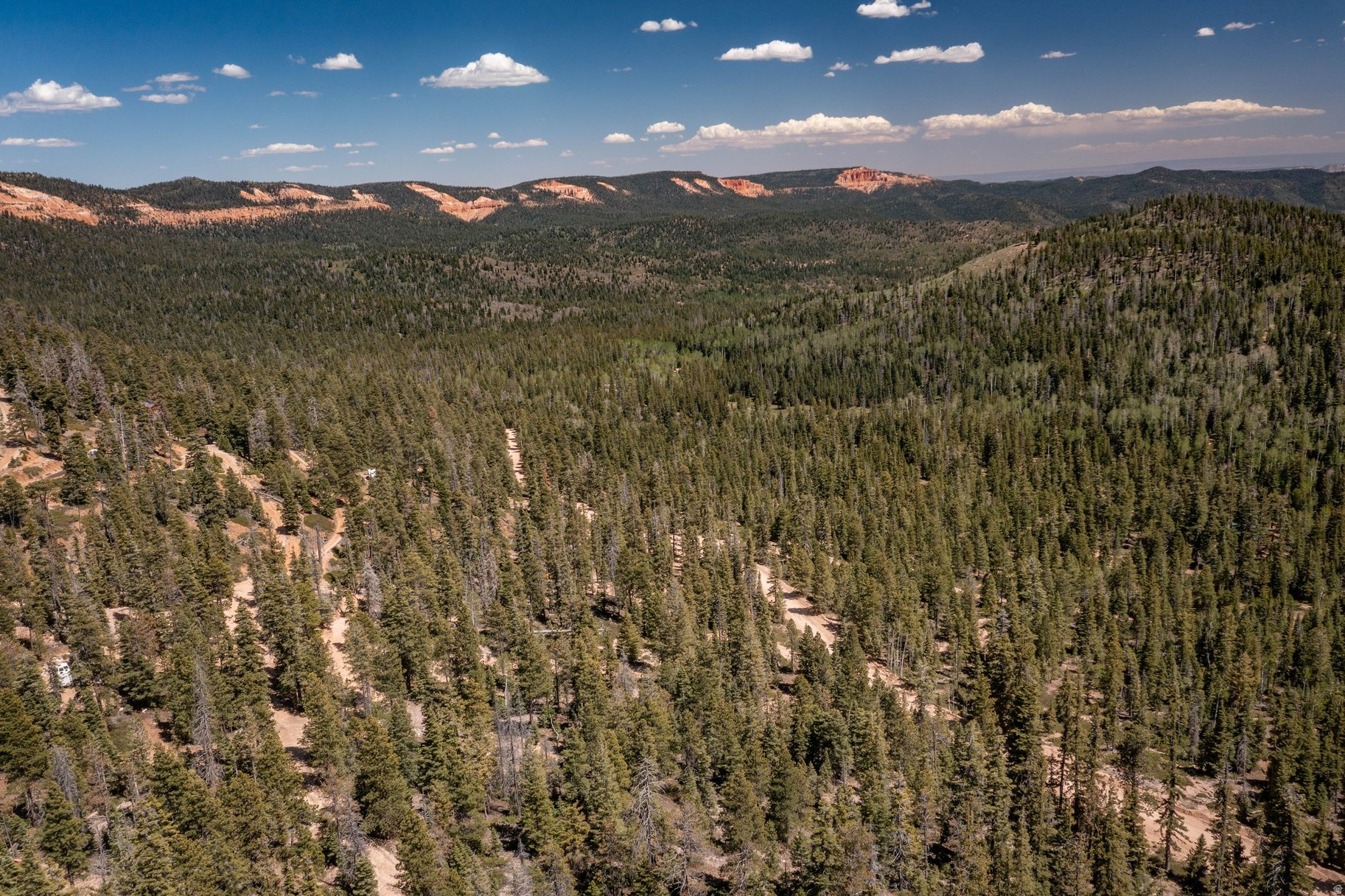 NAVAJO LAKE ESTATES - Land