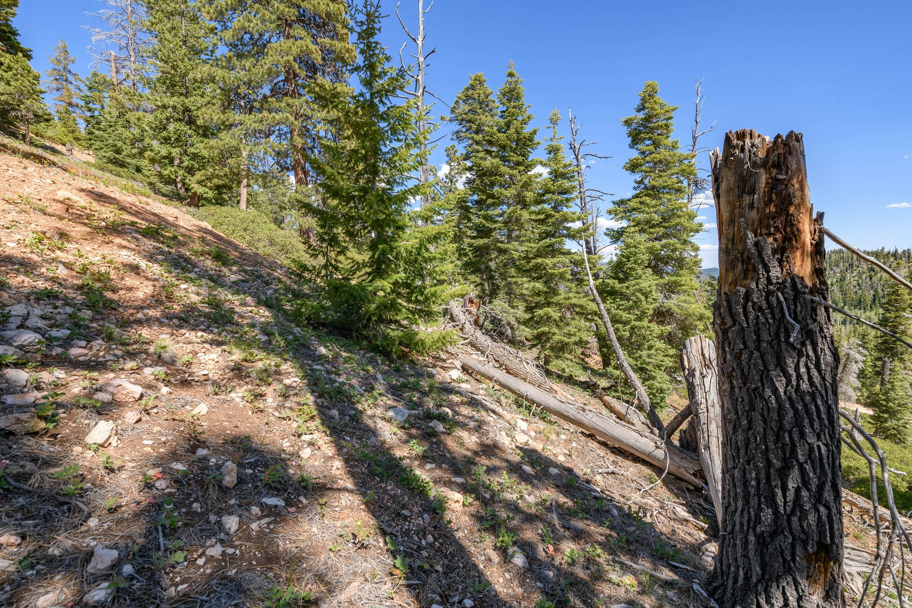 NAVAJO LAKE ESTATES - Land