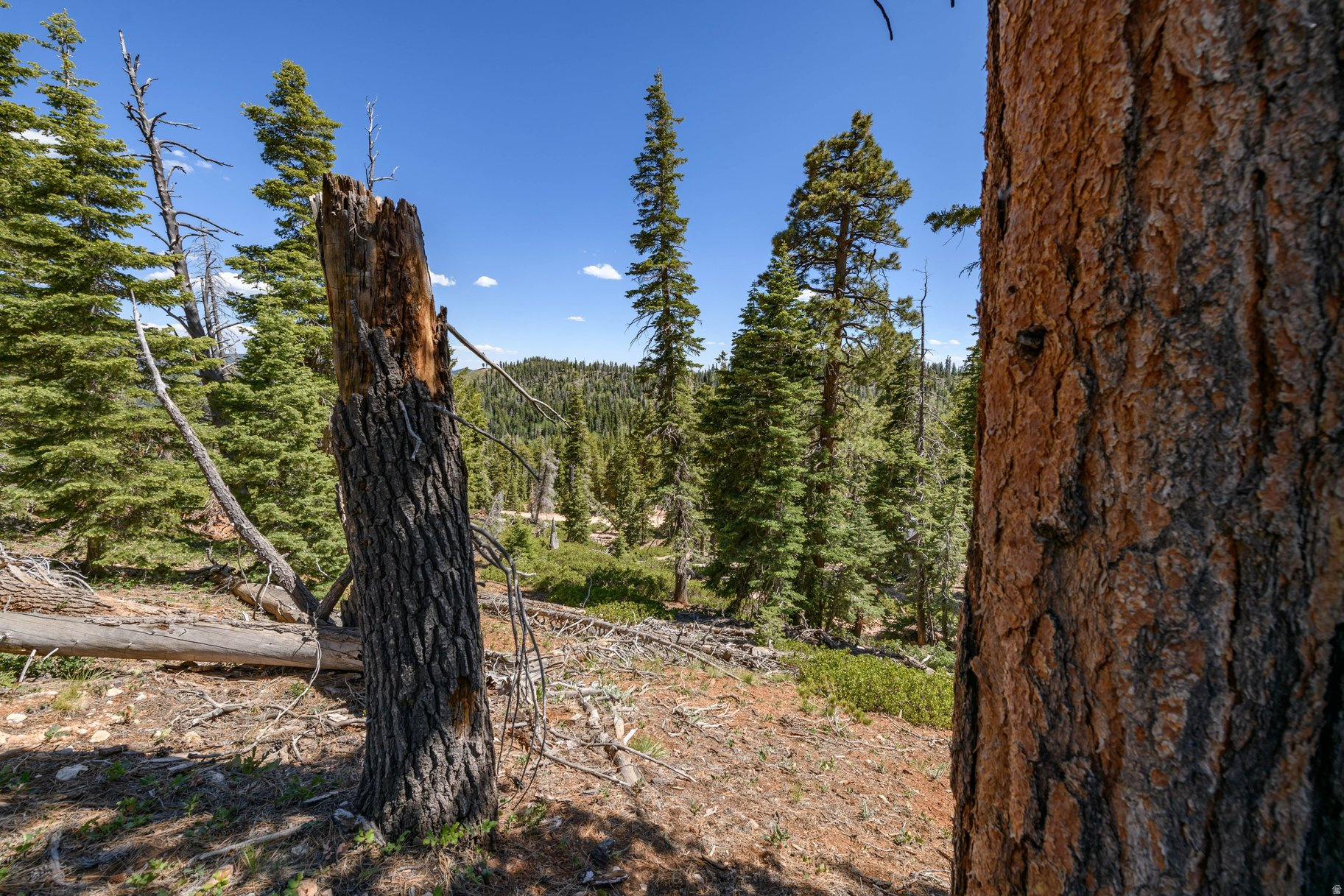 NAVAJO LAKE ESTATES - Land