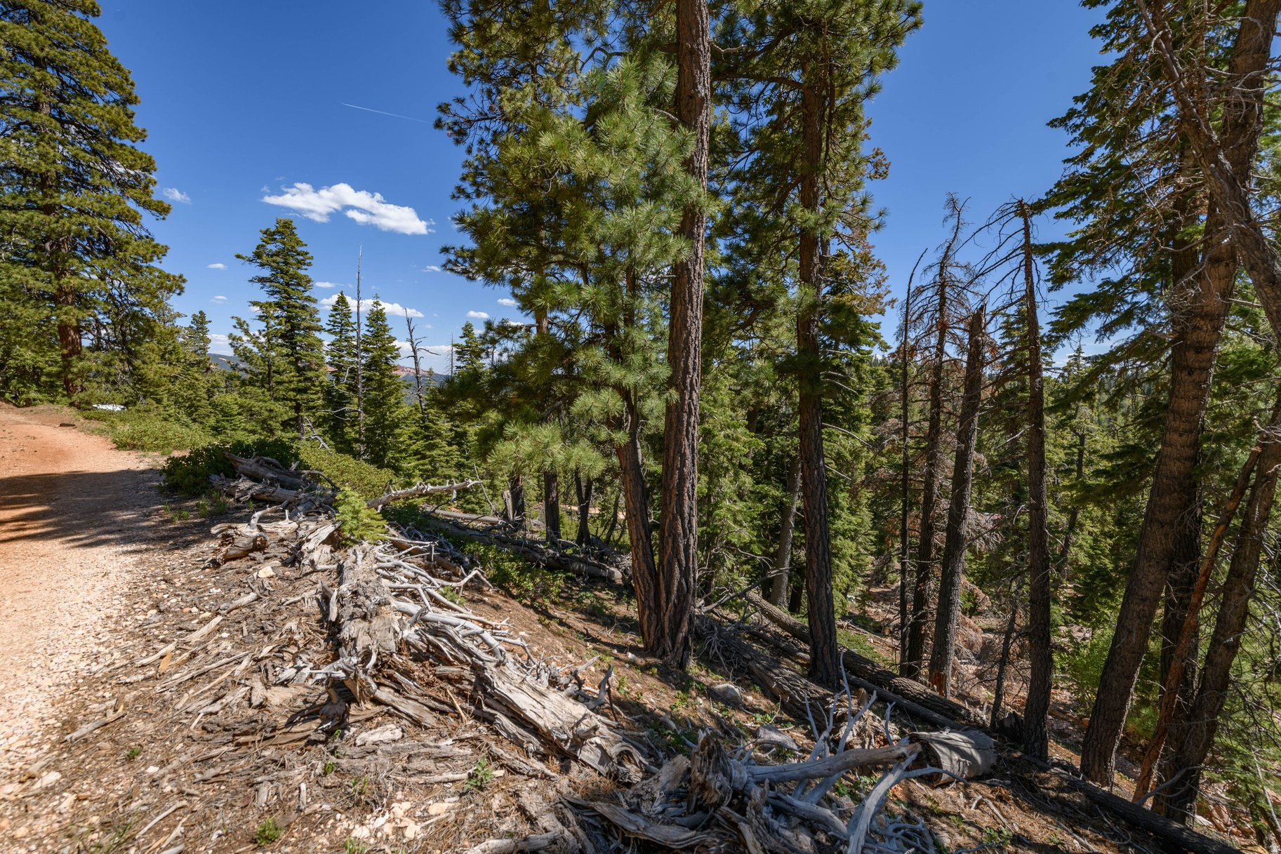 NAVAJO LAKE ESTATES - Land