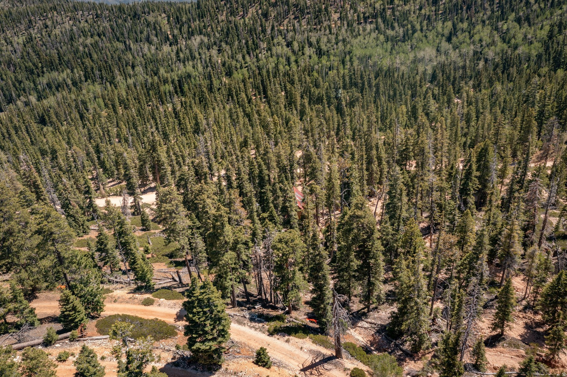 NAVAJO LAKE ESTATES - Land
