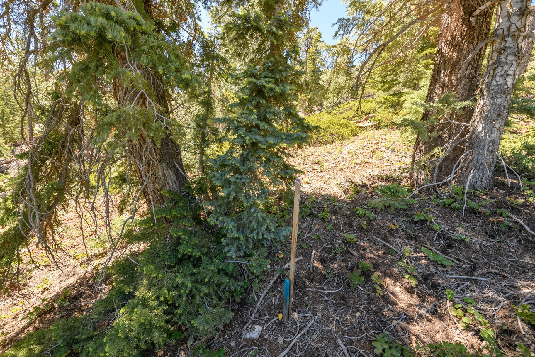 NAVAJO LAKE ESTATES - Land