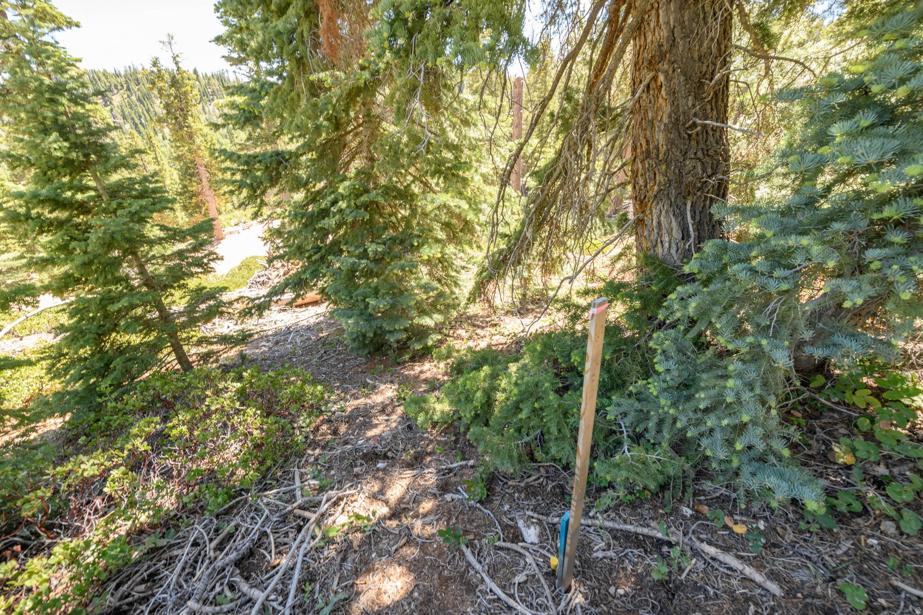 NAVAJO LAKE ESTATES - Land