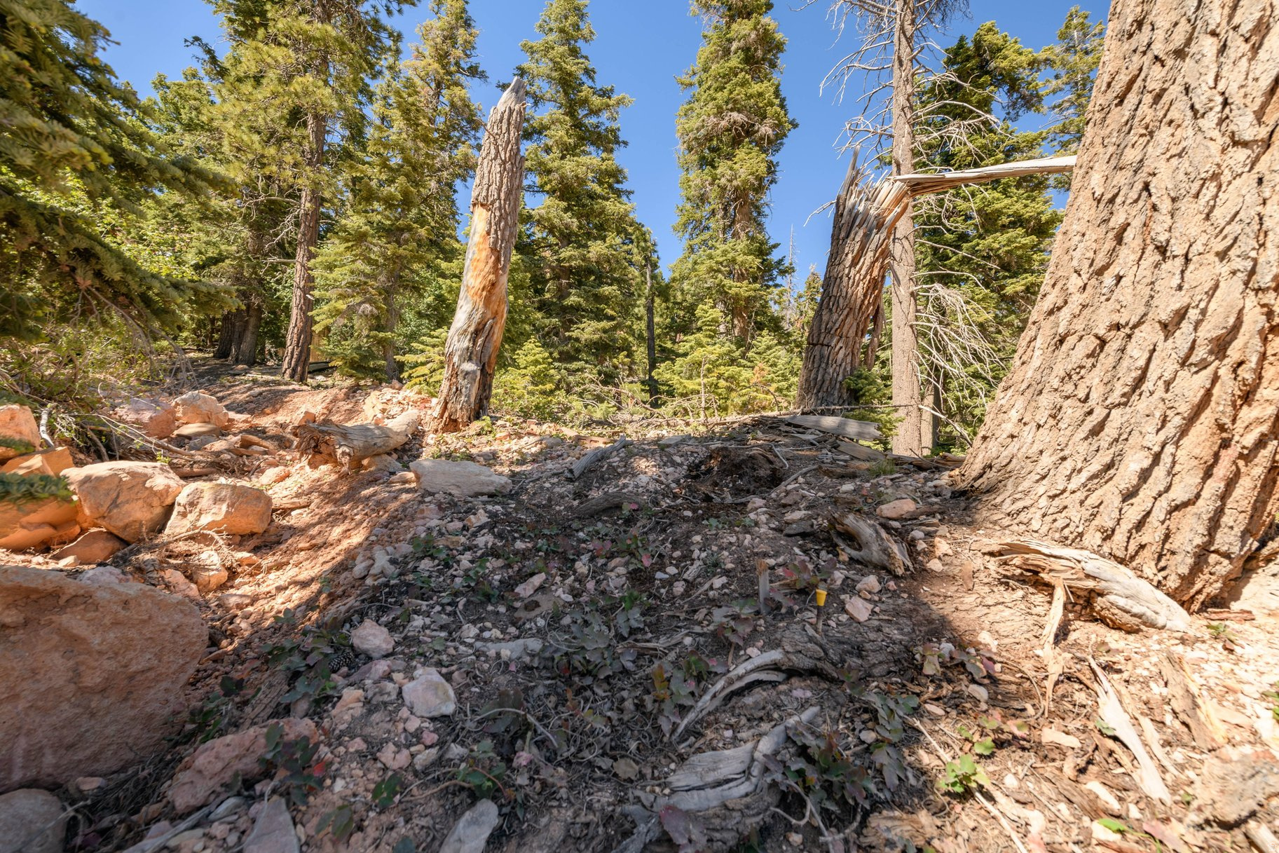NAVAJO LAKE ESTATES - Land