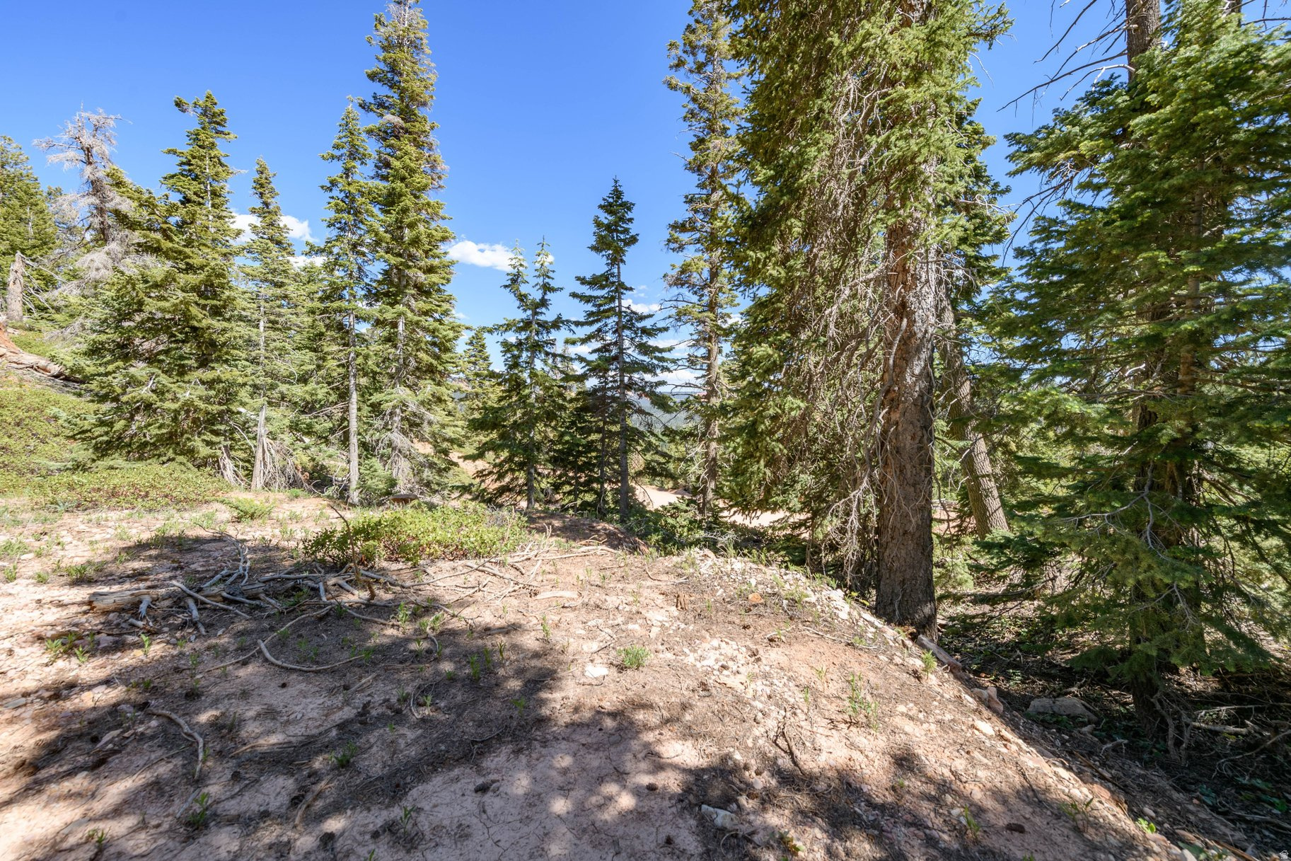 NAVAJO LAKE ESTATES - Land