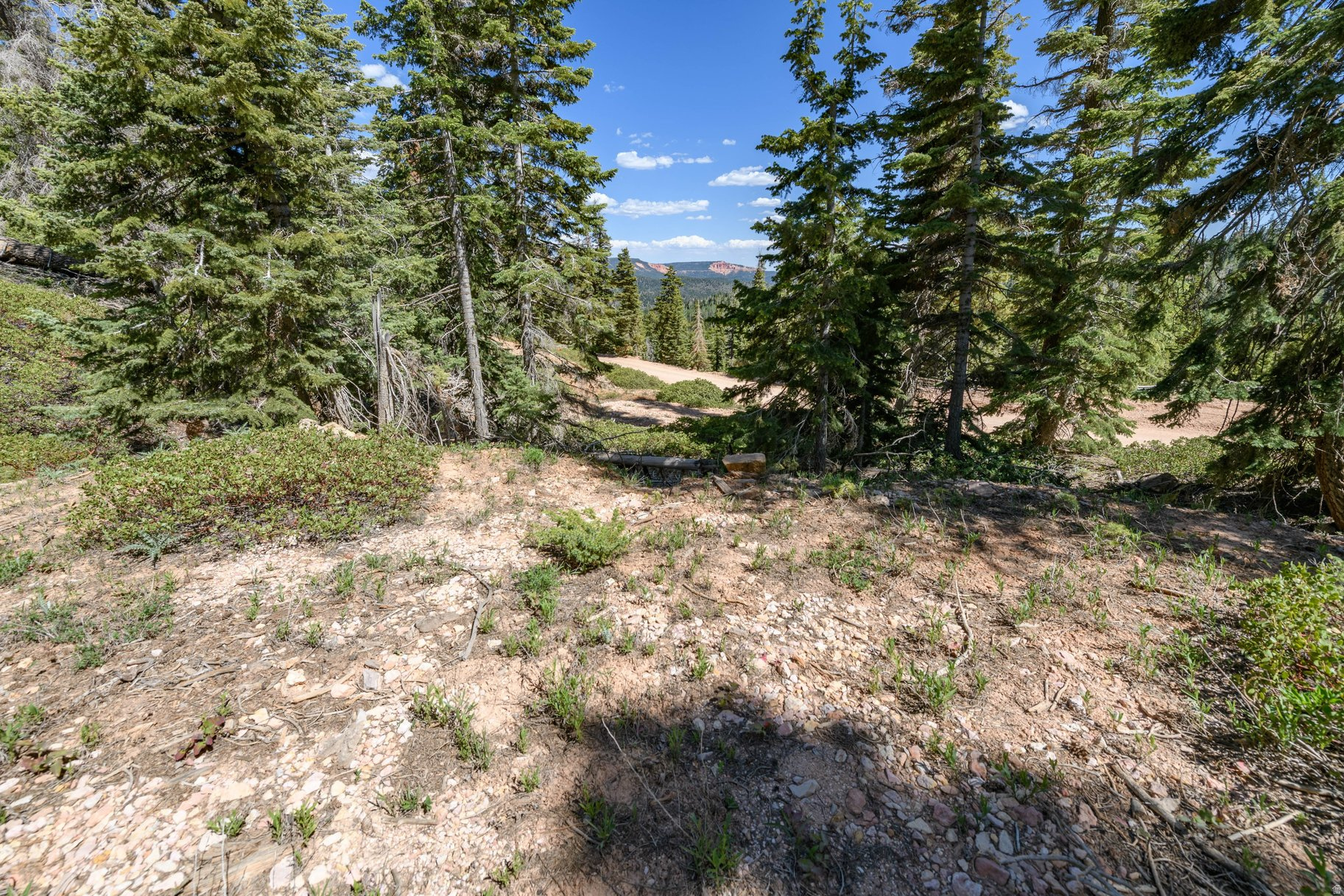 NAVAJO LAKE ESTATES - Land