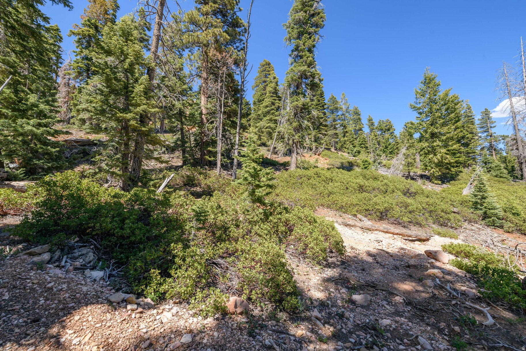 NAVAJO LAKE ESTATES - Land