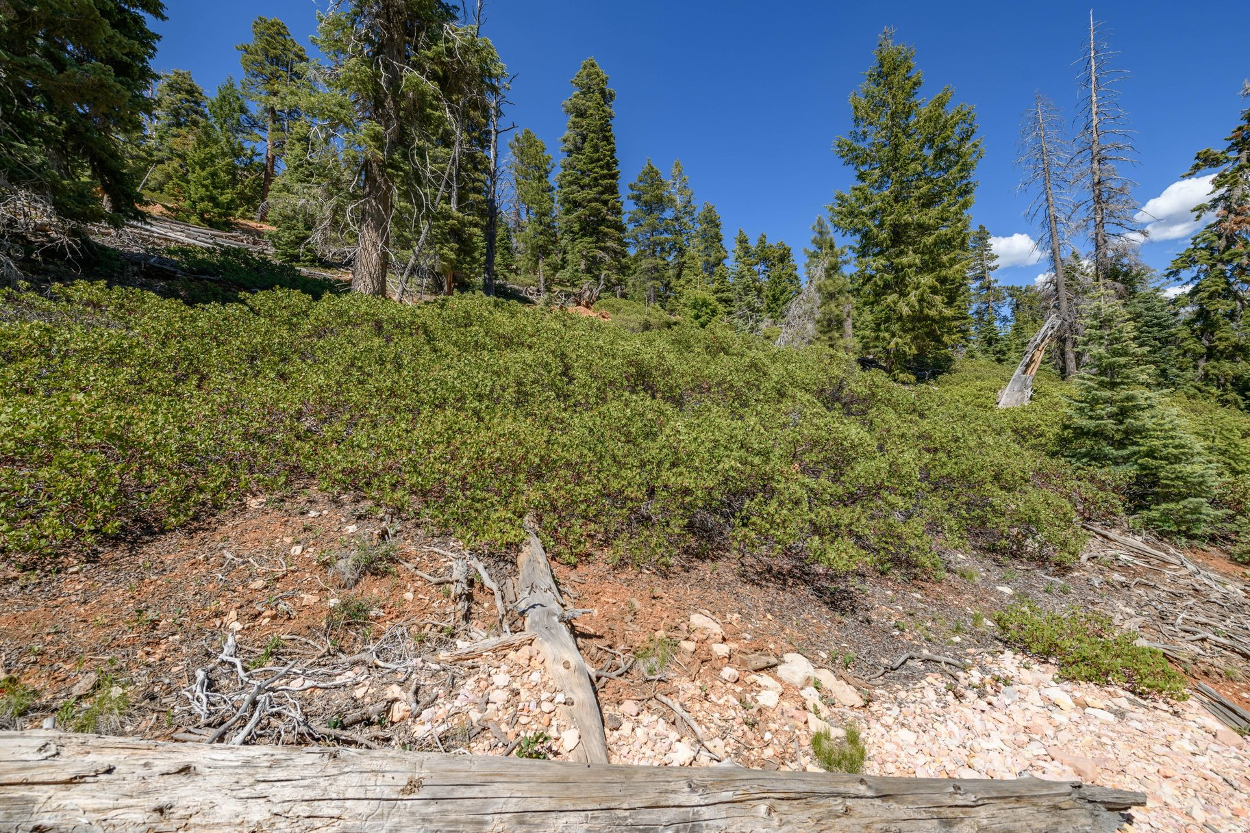 NAVAJO LAKE ESTATES - Land
