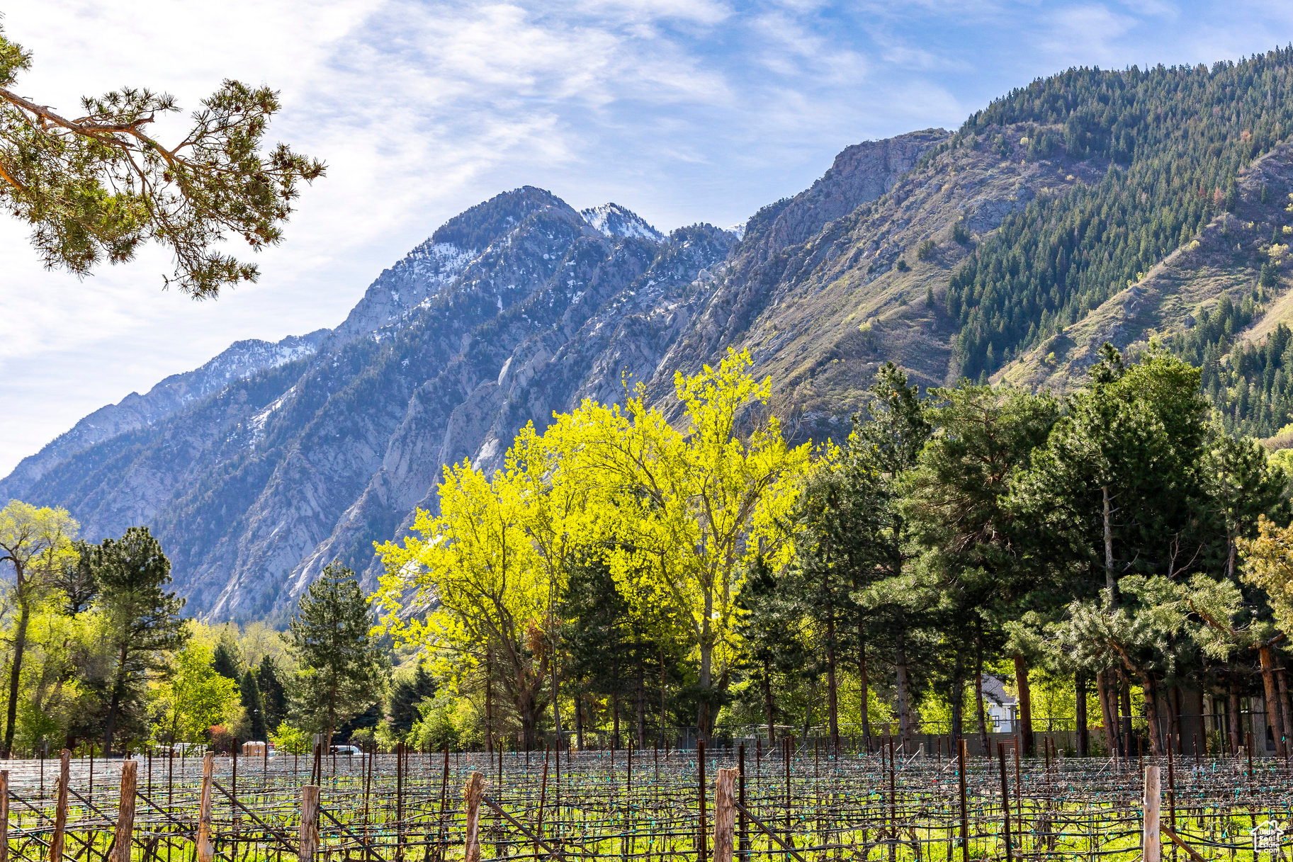 Located at the base of Little Cottonwood Canyon, The Estates at La Caille present an unparalleled opportunity to secure a buildable lot in one of the Valley's most prestigious enclaves. These expansive lots, paired with the freedom to select your own builder, offer buyers the chance to craft a truly custom legacy residence. With only a limited number of lots available, this represents a rare occasion to reside adjacent to the exquisite La Caille grounds.Lot 106 offers unparalleled views of and access to Little Cottonwood Creek and the surrounding mountains. The building lot is ideal for a walkout basement and offers views of a nearby water feature and the spring that divides lots 105 and 106.Ideally situated just minutes from Utah's premier recreational destinations-including the Cottonwoods, scenic hiking and biking trails, and world-class skiing-and less than 30 minutes from the vibrant heart of downtown Salt Lake City and the newly expanded International Airport, these lots deliver an exceptional blend of serene seclusion and convenient access.